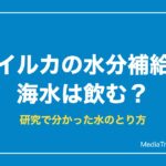 イルカの水分補給は海水？真水のない海で水をとる仕組みを研究から解説